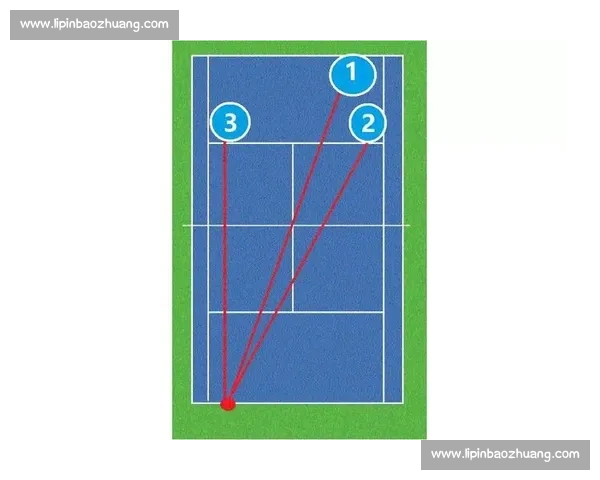从技术战术到心理博弈全面解读现代网球比赛分析制胜路径探索新思