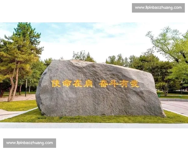 以体育荣誉为核心见证拼搏精神与时代记忆的辉煌成就全景记录与发展